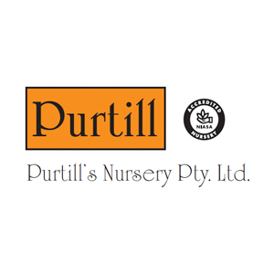 Purtills Nursery Logo